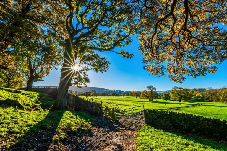 Cheshire farmland